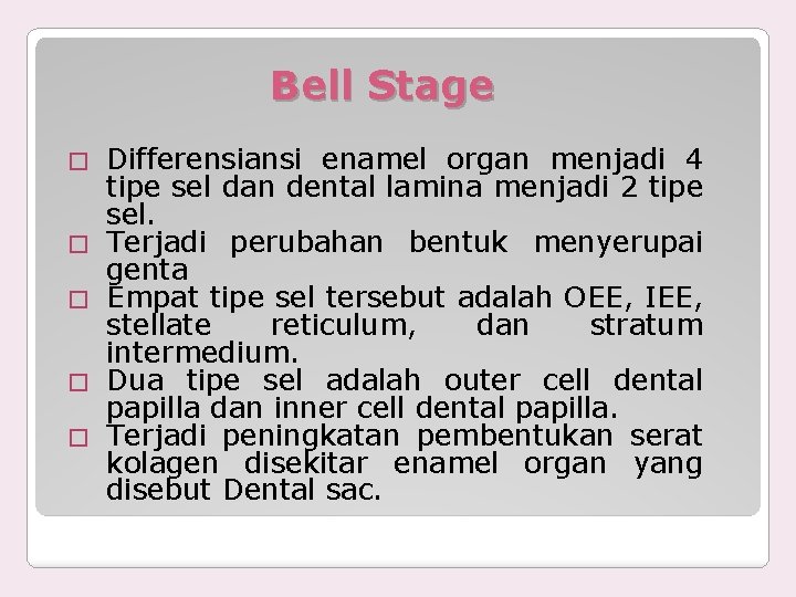 Bell Stage � � � Differensiansi enamel organ menjadi 4 tipe sel dan dental