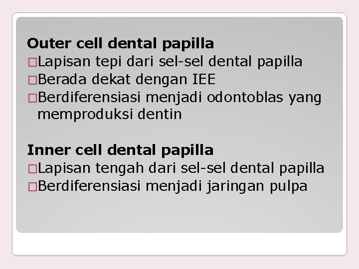 Outer cell dental papilla �Lapisan tepi dari sel-sel dental papilla �Berada dekat dengan IEE