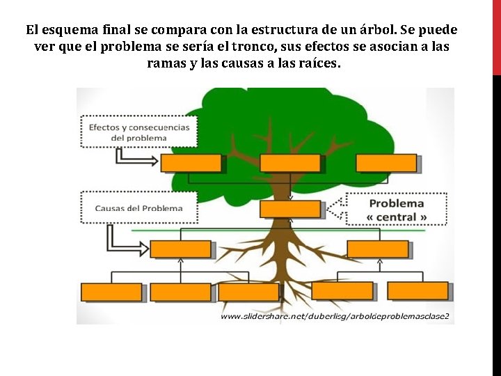 El esquema final se compara con la estructura de un árbol. Se puede ver