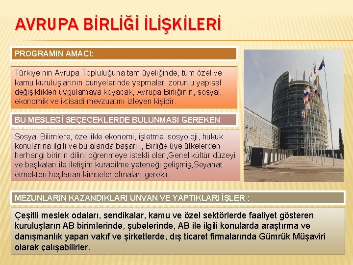 AVRUPA BİRLİĞİ İLİŞKİLERİ PROGRAMIN AMACI: Türkiye’nin Avrupa Topluluğuna tam üyeliğinde, tüm özel ve kamu