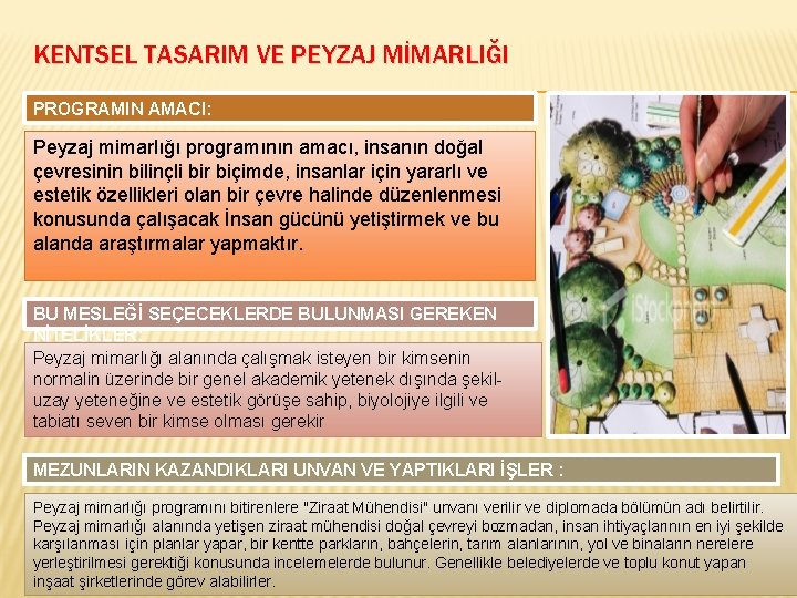 KENTSEL TASARIM VE PEYZAJ MİMARLIĞI PROGRAMIN AMACI: Peyzaj mimarlığı programının amacı, insanın doğal çevresinin