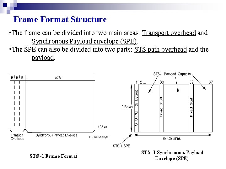 Frame Format Structure • The frame can be divided into two main areas: Transport