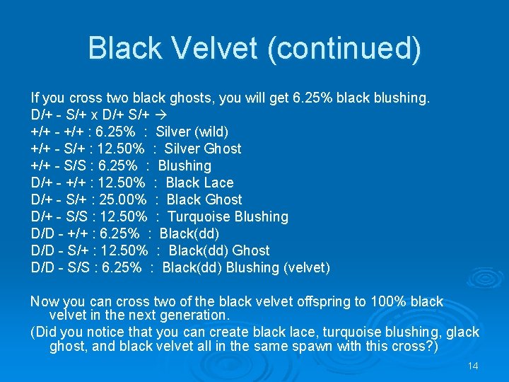 Black Velvet (continued) If you cross two black ghosts, you will get 6. 25%