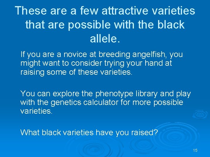 These are a few attractive varieties that are possible with the black allele. If
