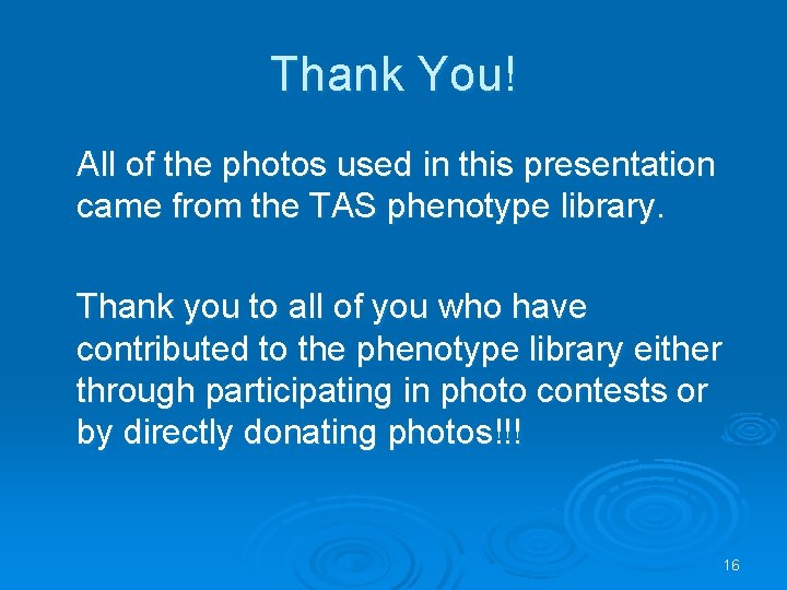 Thank You! All of the photos used in this presentation came from the TAS