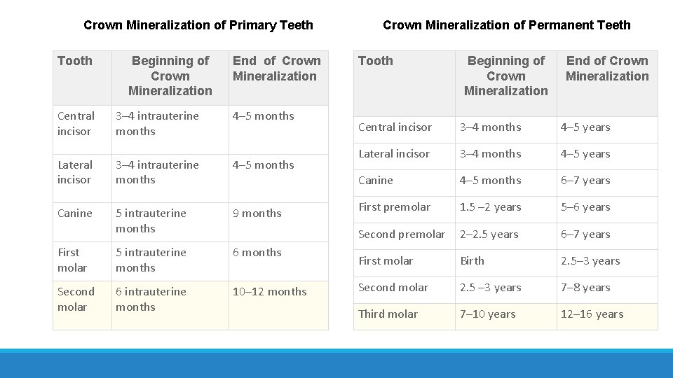 Crown Mineralization of Primary Teeth Tooth Central incisor Beginning of Crown Mineralization 3– 4