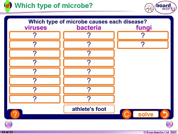 Which type of microbe? 1 14 ofof 20 31 © Boardworks Ltd 2005 2004