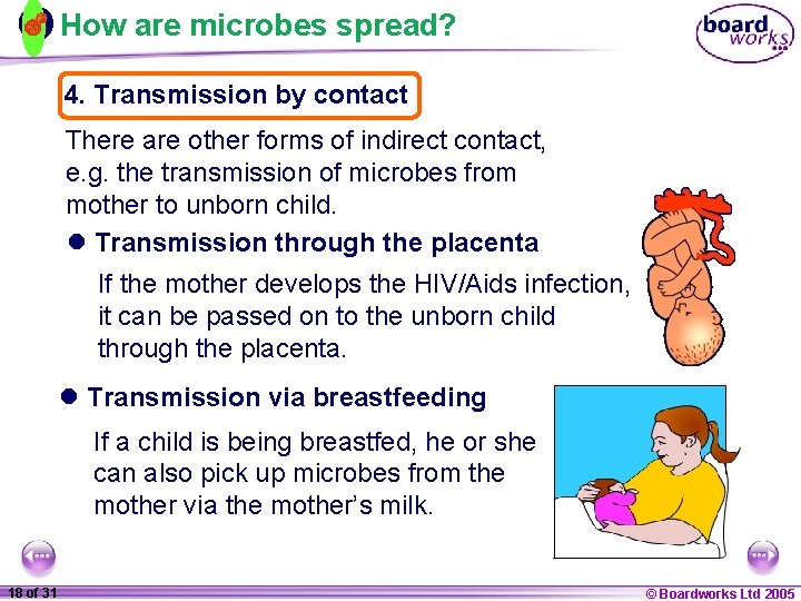 How are microbes spread? 4. Transmission by contact There are other forms of indirect