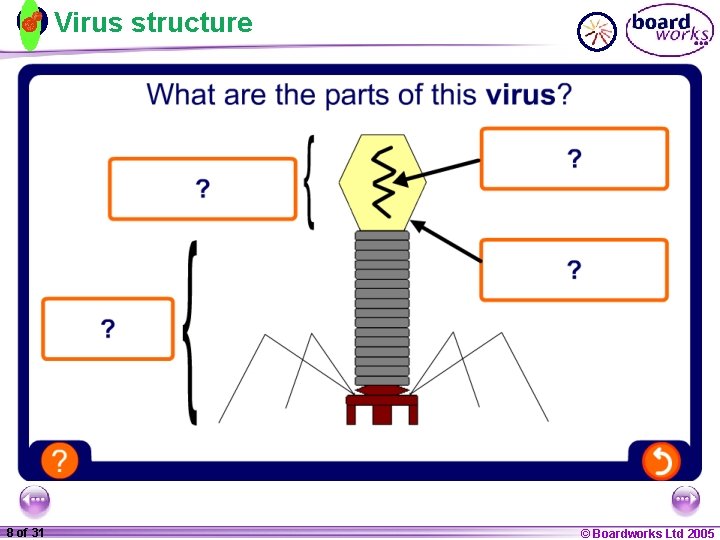 Virus structure 1 20 8 of 31 © Boardworks Ltd 2005 2004 