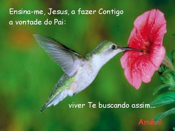 Ensina-me, Jesus, a fazer Contigo a vontade do Pai: viver Te buscando assim. .