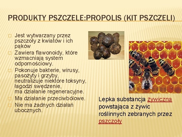 PRODUKTY PSZCZELE: PROPOLIS (KIT PSZCZELI) � � � Jest wytwarzany przez pszczoły z kwiatów