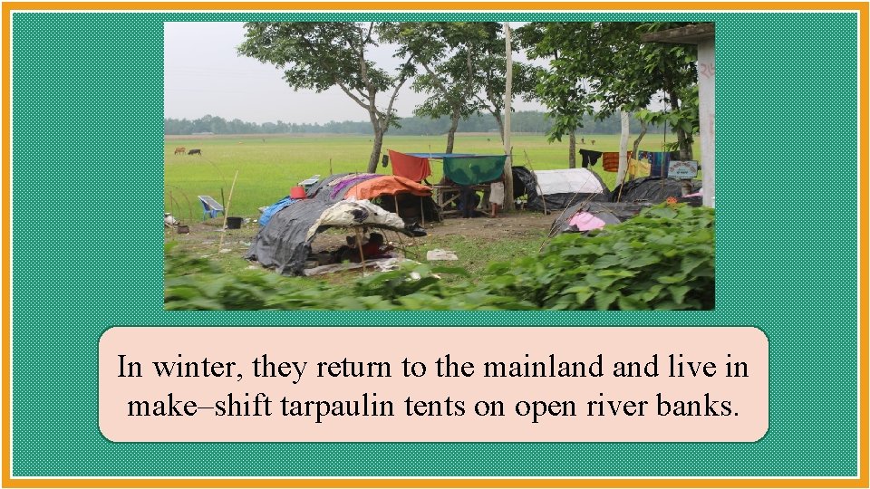 In winter, they return to the mainland live in make–shift tarpaulin tents on open