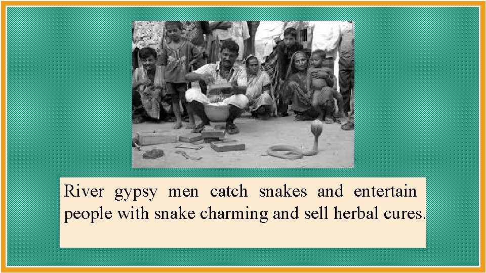 River gypsy men catch snakes and entertain people with snake charming and sell herbal