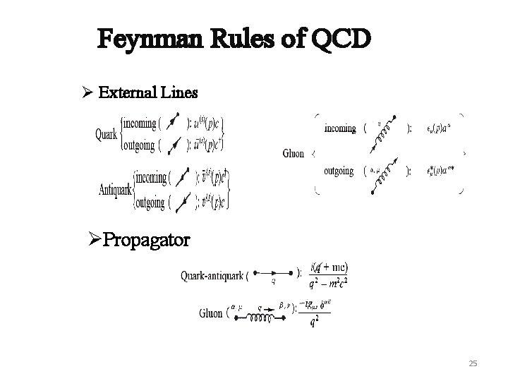 Feynman Rules of QCD Ø External Lines ØPropagator 25 