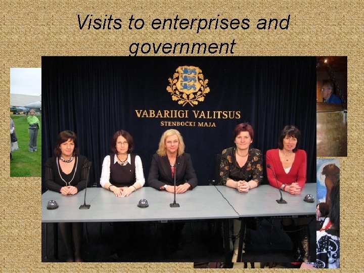 Visits to enterprises and government 