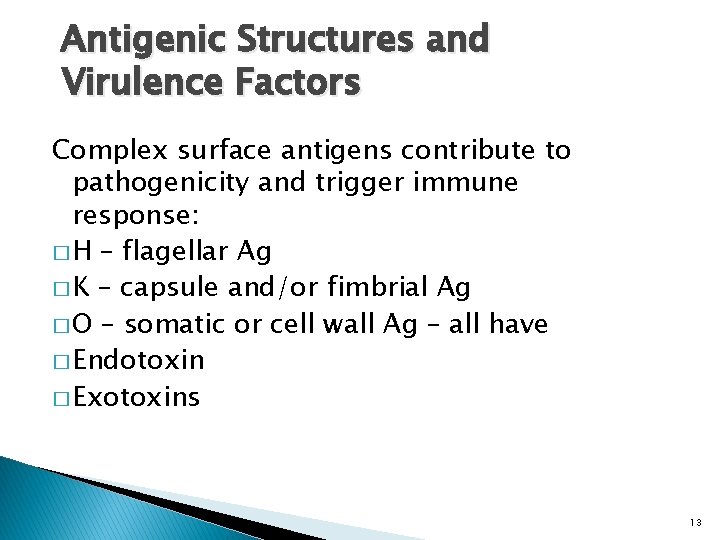 Antigenic Structures and Virulence Factors Complex surface antigens contribute to pathogenicity and trigger immune
