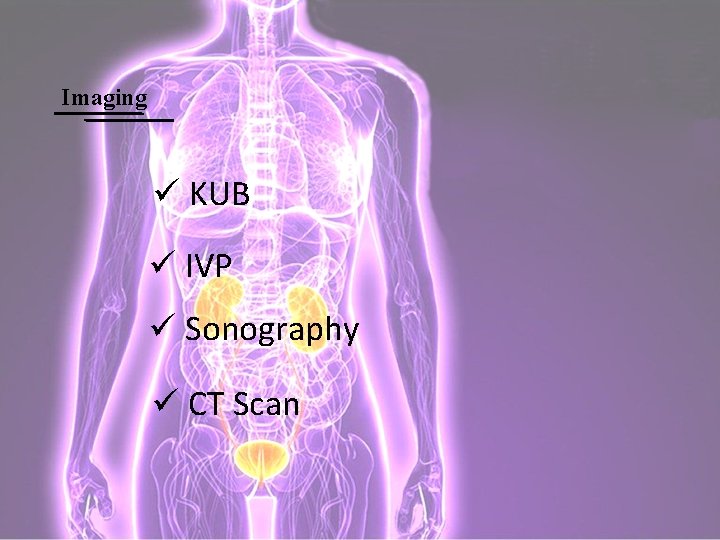 Imaging ü KUB ü IVP ü Sonography ü CT Scan 