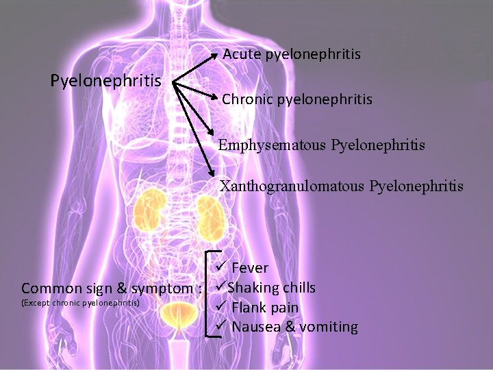 Acute pyelonephritis Pyelonephritis Chronic pyelonephritis Emphysematous Pyelonephritis Xanthogranulomatous Pyelonephritis ü Fever Common sign &