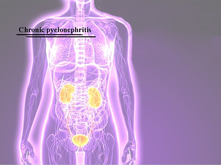Chronic pyelonephritis 
