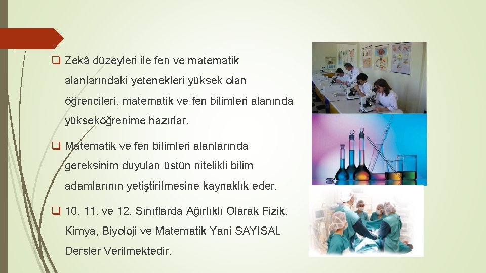 q Zekâ düzeyleri ile fen ve matematik alanlarındaki yetenekleri yüksek olan öğrencileri, matematik ve