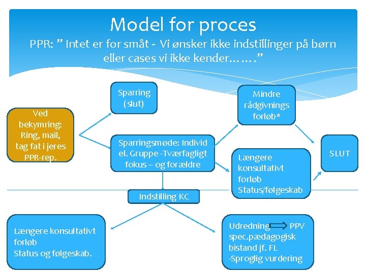 Model for proces PPR: ” Intet er for småt - Vi ønsker ikke indstillinger