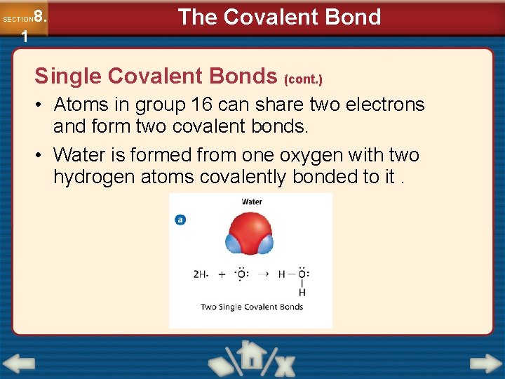 8. SECTION 1 The Covalent Bond Single Covalent Bonds (cont. ) • Atoms in