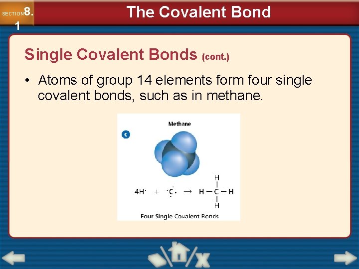 8. SECTION 1 The Covalent Bond Single Covalent Bonds (cont. ) • Atoms of