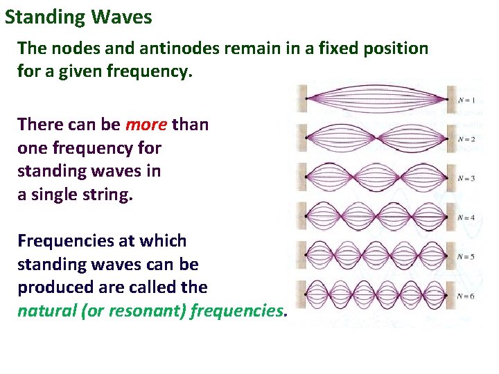 Standing Waves The nodes and antinodes remain in a fixed position for a given