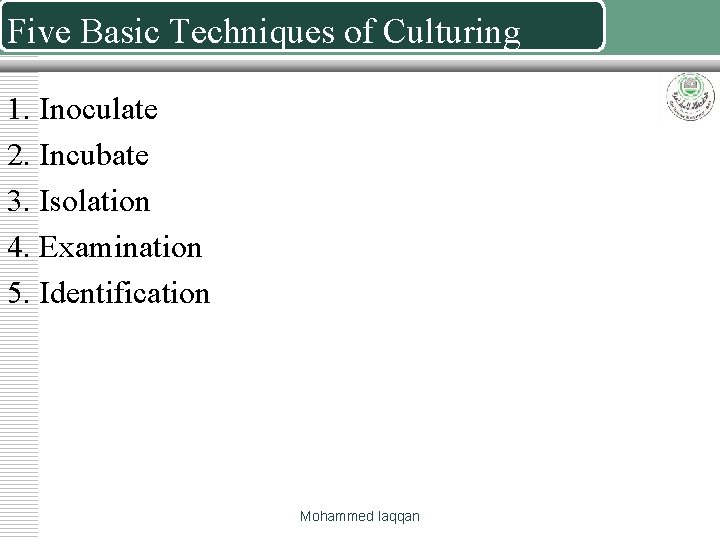 Five Basic Techniques of Culturing 1. Inoculate 2. Incubate 3. Isolation 4. Examination 5.