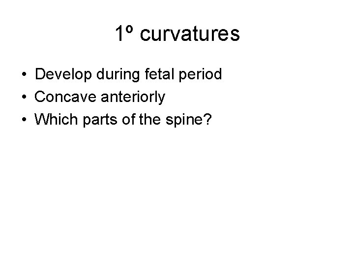 1º curvatures • Develop during fetal period • Concave anteriorly • Which parts of