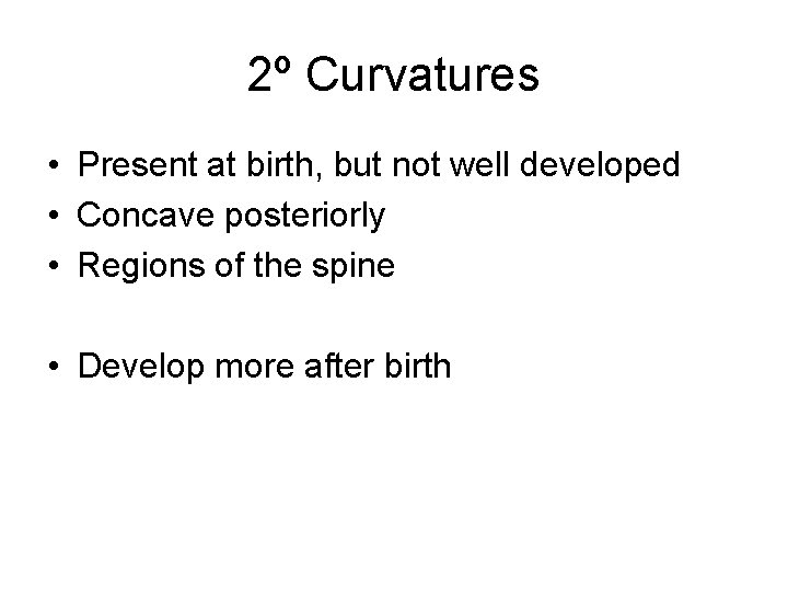 2º Curvatures • Present at birth, but not well developed • Concave posteriorly •