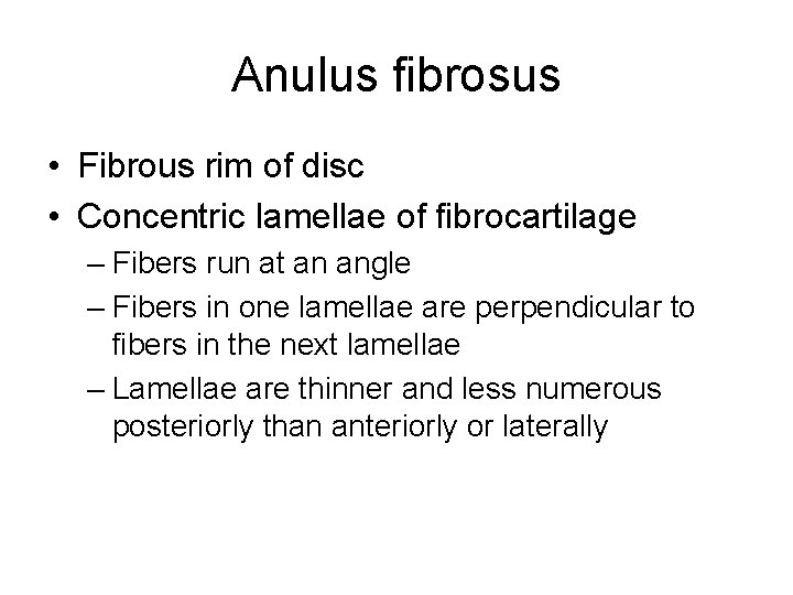 Anulus fibrosus • Fibrous rim of disc • Concentric lamellae of fibrocartilage – Fibers