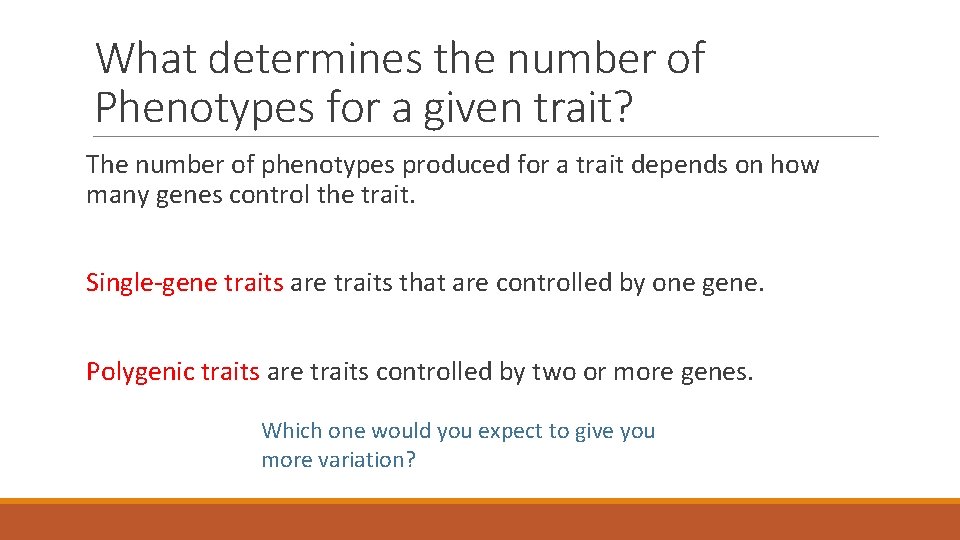 What determines the number of Phenotypes for a given trait? The number of phenotypes