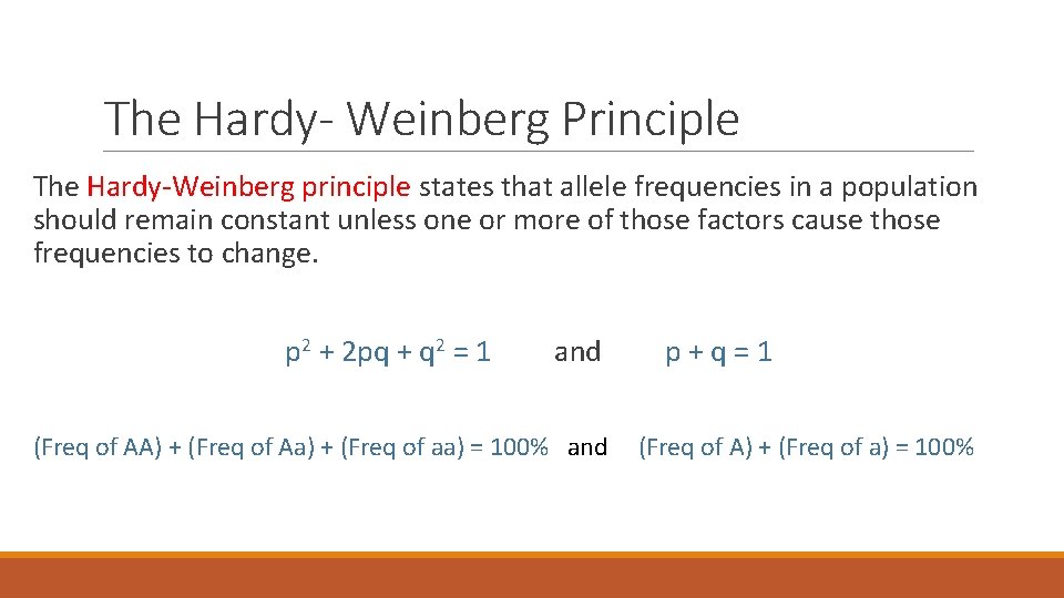 The Hardy- Weinberg Principle The Hardy-Weinberg principle states that allele frequencies in a population