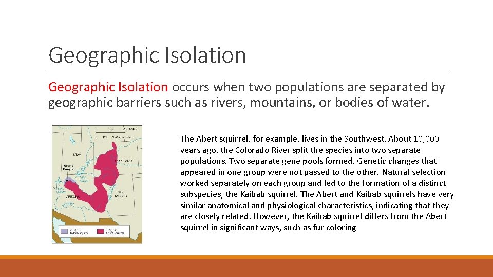 Geographic Isolation occurs when two populations are separated by geographic barriers such as rivers,