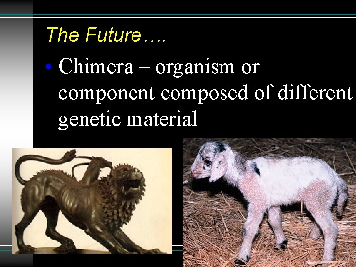 The Future…. • Chimera – organism or component composed of different genetic material 