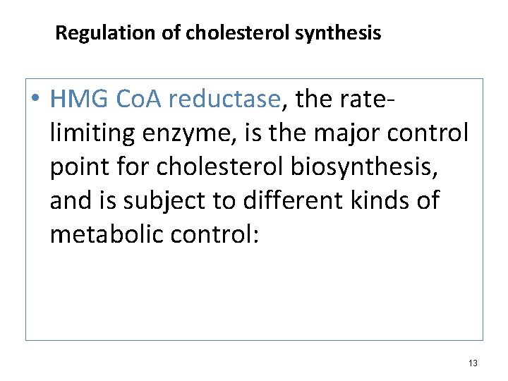 Regulation of cholesterol synthesis • HMG Co. A reductase, the ratelimiting enzyme, is the