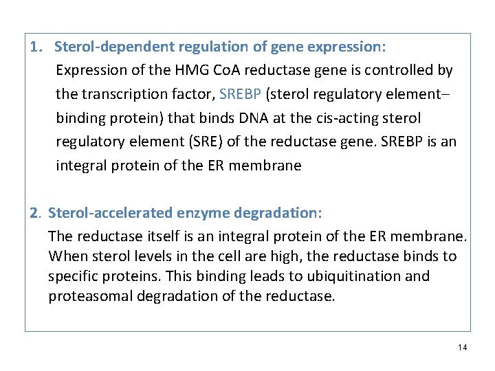 1. Sterol-dependent regulation of gene expression: Expression of the HMG Co. A reductase gene