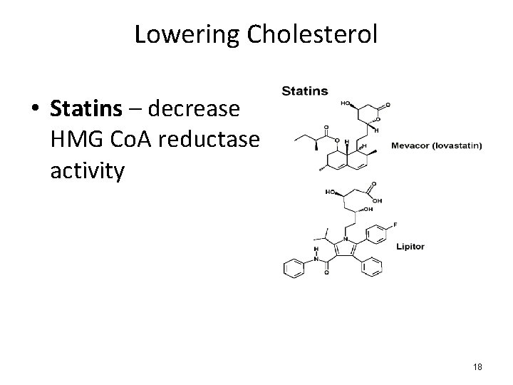 Lowering Cholesterol • Statins – decrease HMG Co. A reductase activity 18 