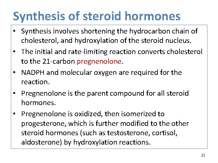 Synthesis of steroid hormones • Synthesis involves shortening the hydrocarbon chain of cholesterol, and