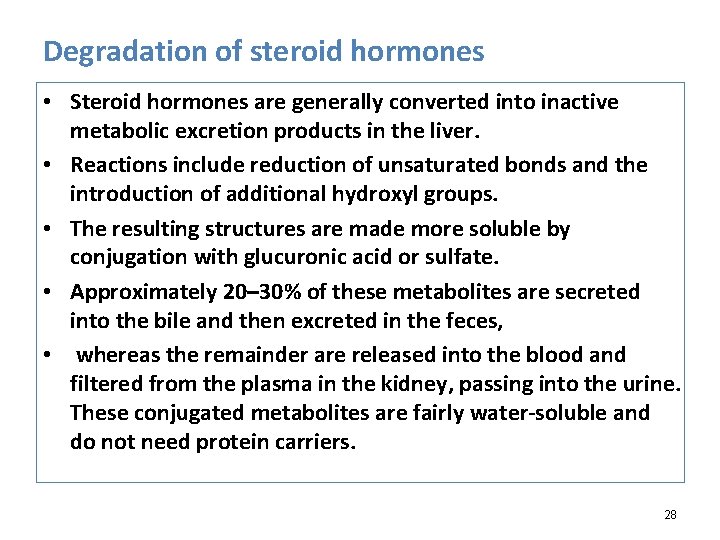 Degradation of steroid hormones • Steroid hormones are generally converted into inactive metabolic excretion