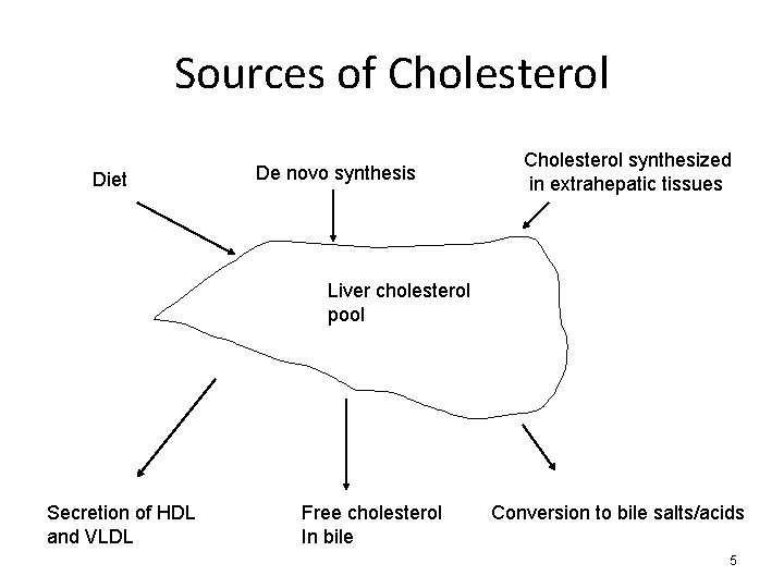 Sources of Cholesterol Diet De novo synthesis Cholesterol synthesized in extrahepatic tissues Liver cholesterol