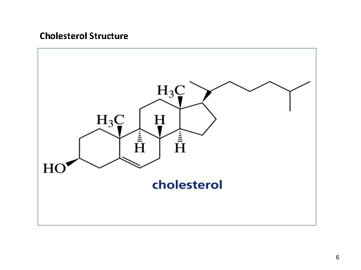 Cholesterol Structure 6 