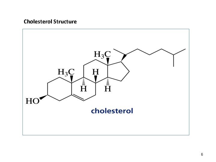 Cholesterol Structure 6 