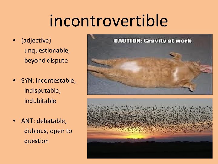 incontrovertible • (adjective) unquestionable, beyond dispute • SYN: incontestable, indisputable, indubitable • ANT: debatable,