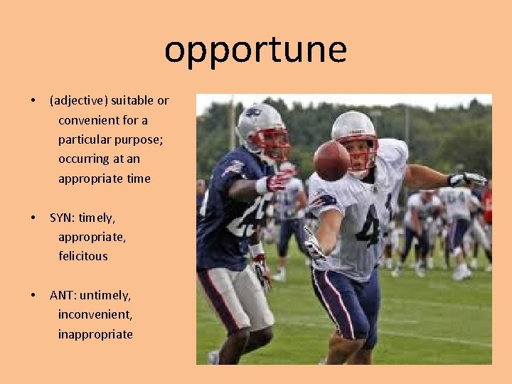 opportune • (adjective) suitable or convenient for a particular purpose; occurring at an appropriate