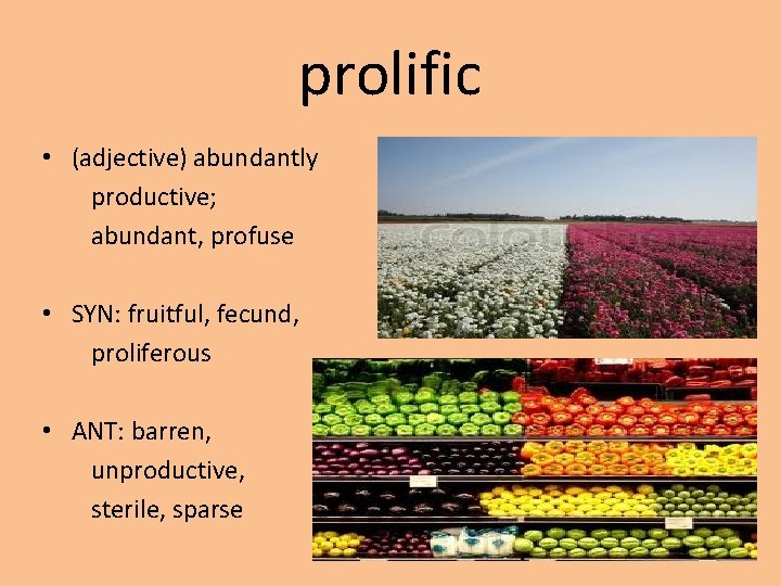 prolific • (adjective) abundantly productive; abundant, profuse • SYN: fruitful, fecund, proliferous • ANT: