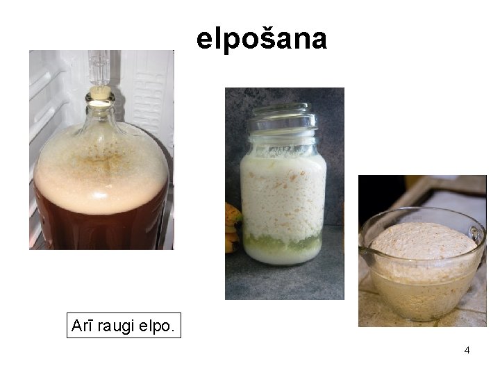 elpošana Arī raugi elpo. 4 