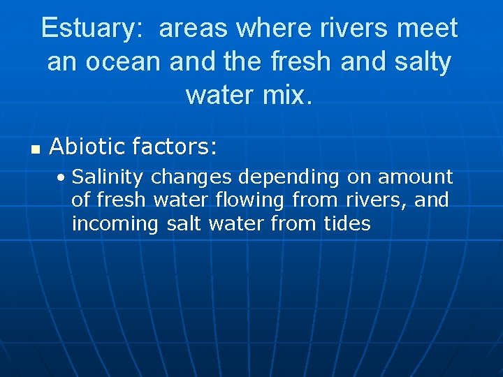 Estuary: areas where rivers meet an ocean and the fresh and salty water mix.