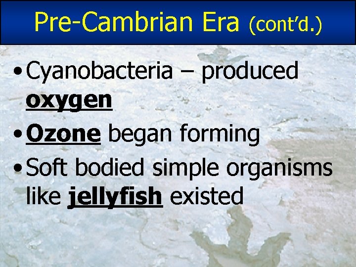 Pre-Cambrian Era (cont’d. ) • Cyanobacteria – produced oxygen • Ozone began forming • Pre-Cambrian Era (cont’d. ) • Cyanobacteria – produced oxygen • Ozone began forming •